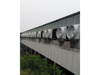 玻璃鋼風(fēng)機(jī)安裝